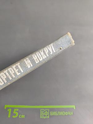 Портрет и вокруг