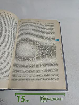 Энциклопедический словарь юного литературоведа