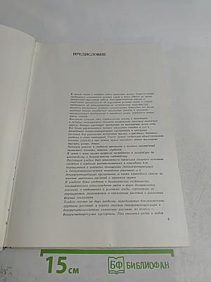 Цветы