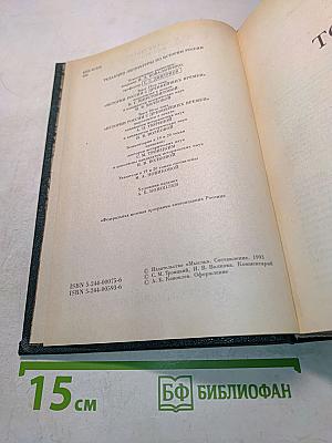 Сочинения. Книга X. История России с древнейших времен. Тома 19-20