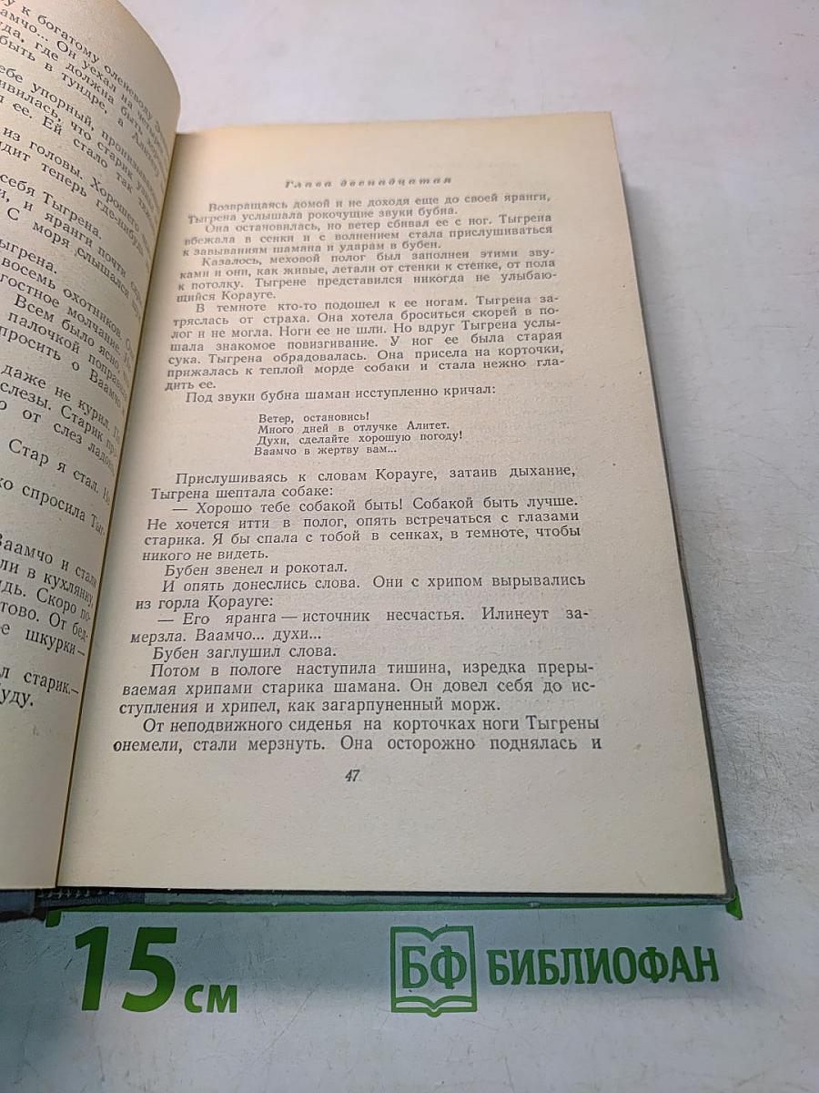 Алитет уходит в горы