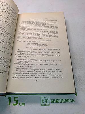 Алитет уходит в горы