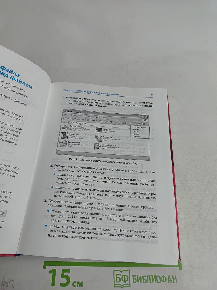 Информатика. Учебник. 7-9 классы. Часть 2. Практикум