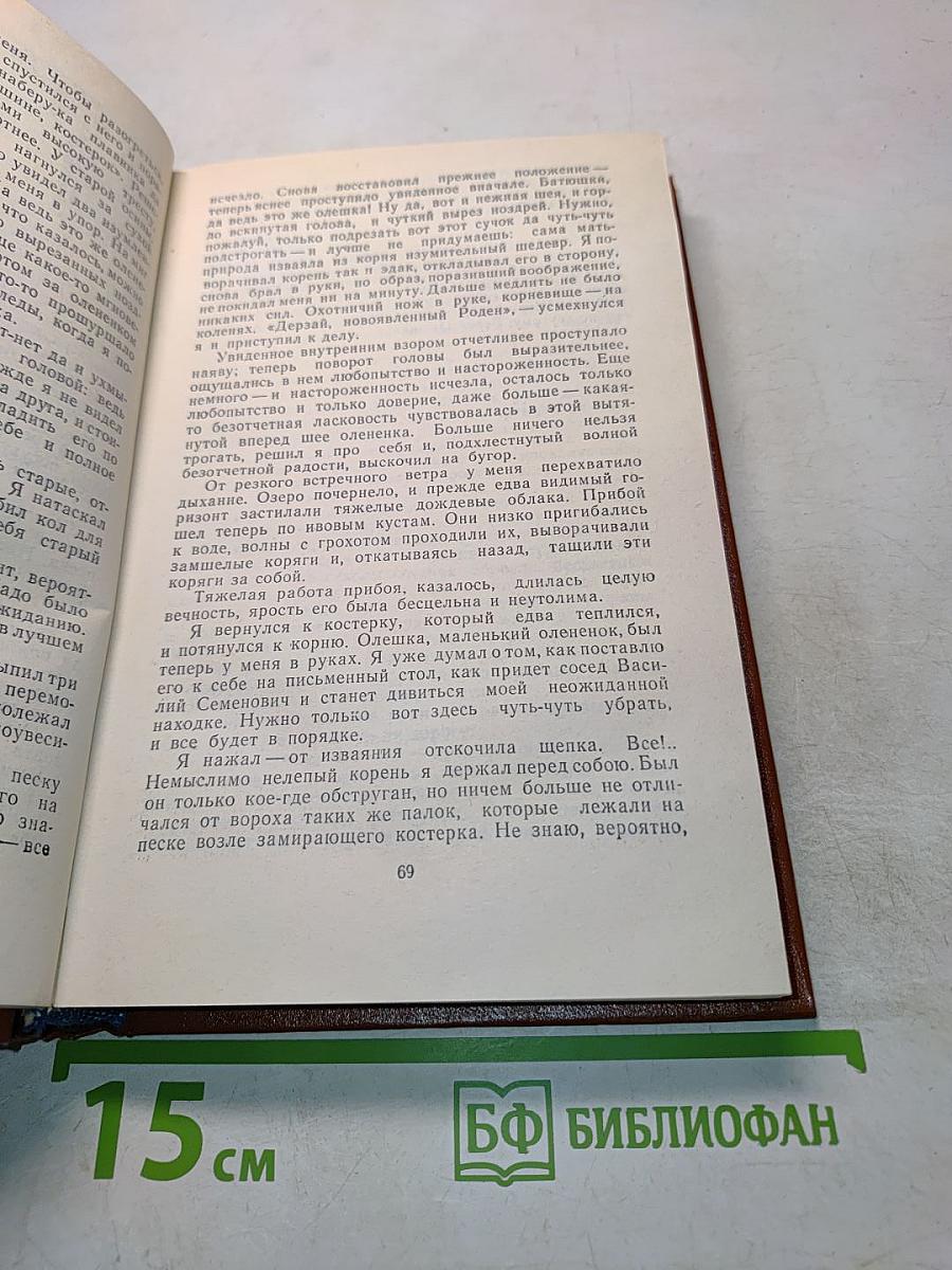 За белой зарей
