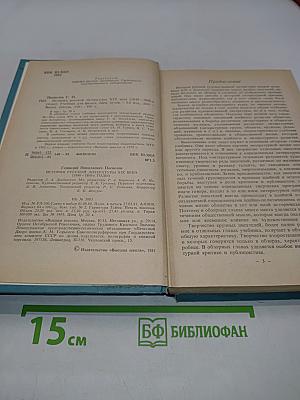 История русской литературы XIX века