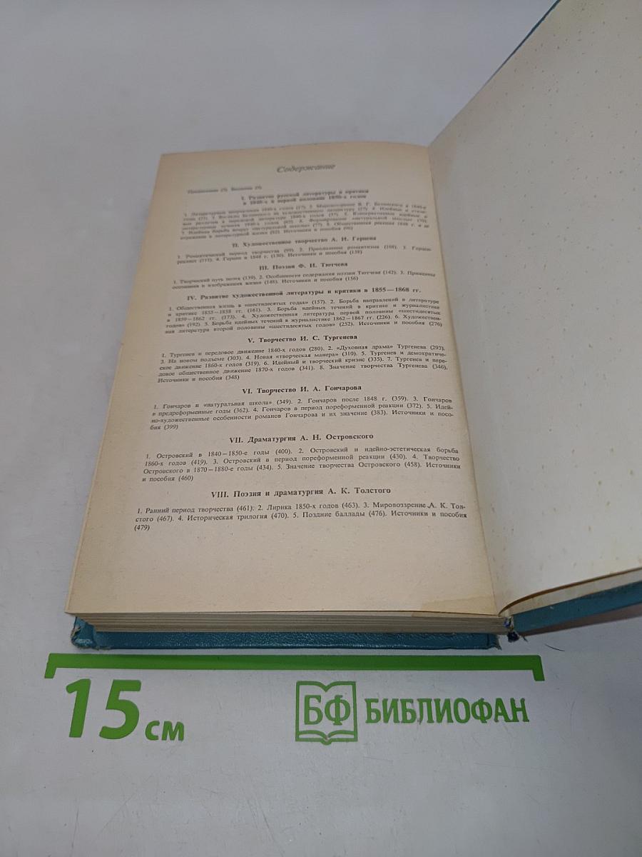 История русской литературы XIX века