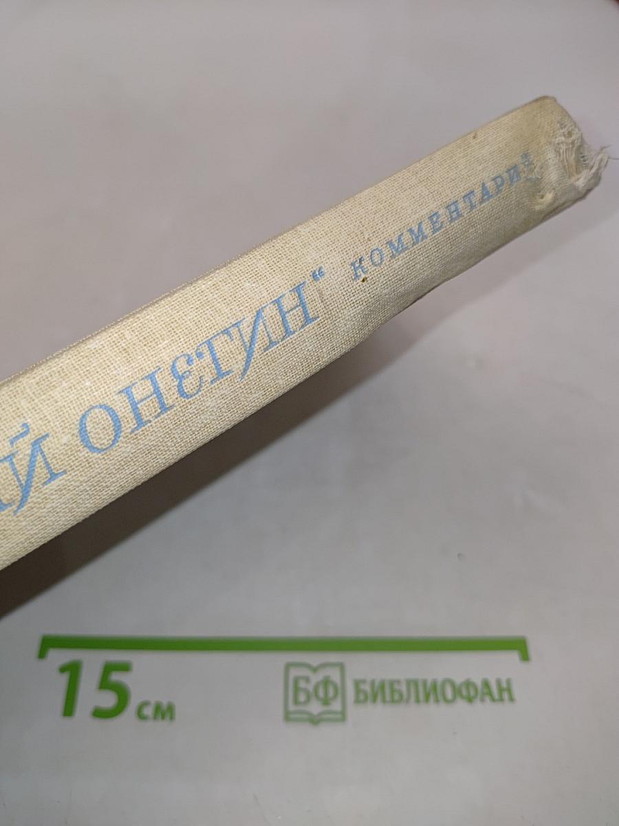 Евгений Онегин. Роман А.С. Пушкина. Комментарий. Пособие для учителя. Издание второе