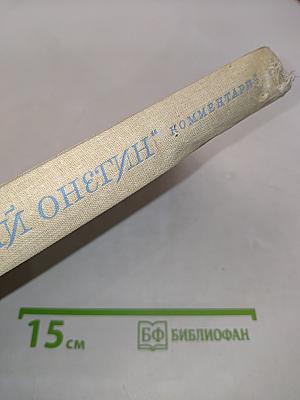 Евгений Онегин. Роман А.С. Пушкина. Комментарий. Пособие для учителя. Издание второе