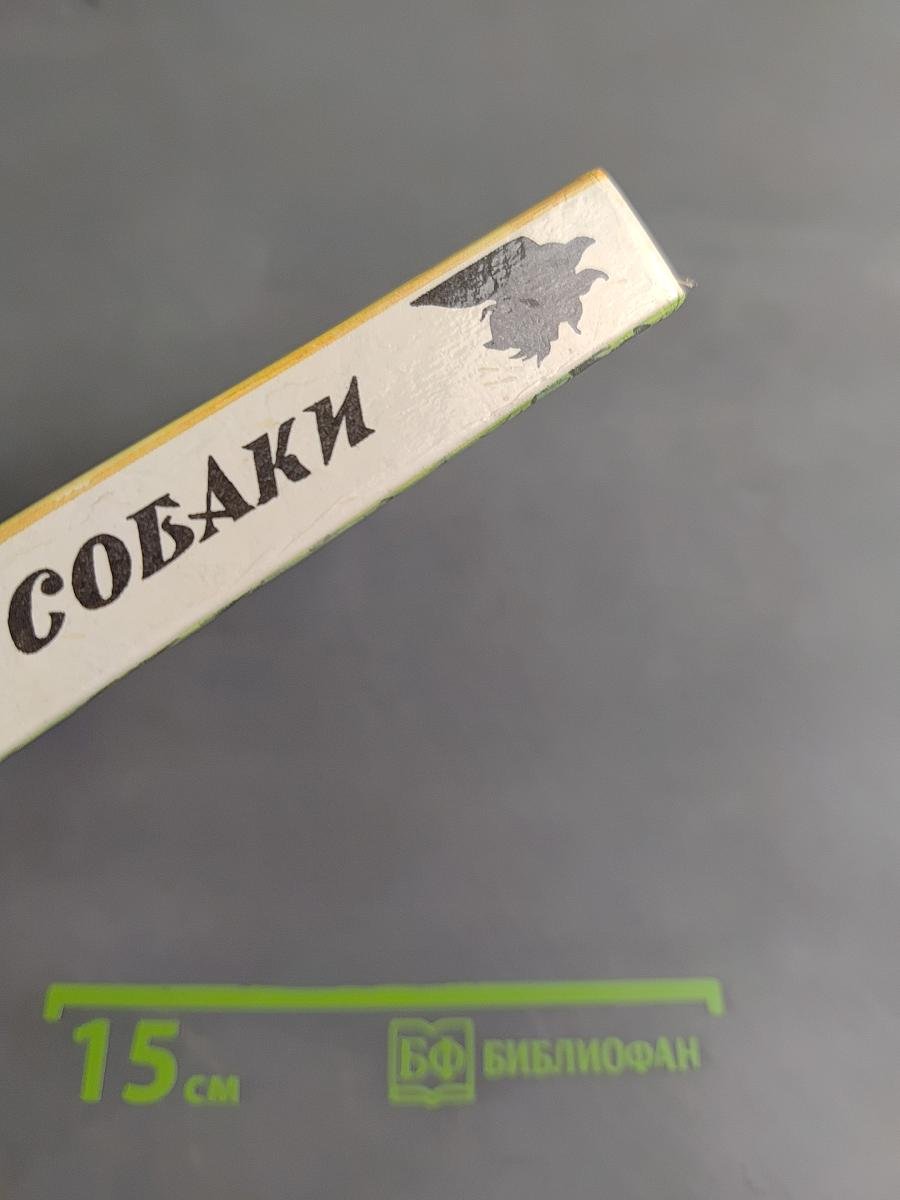 Воспитание собаки
