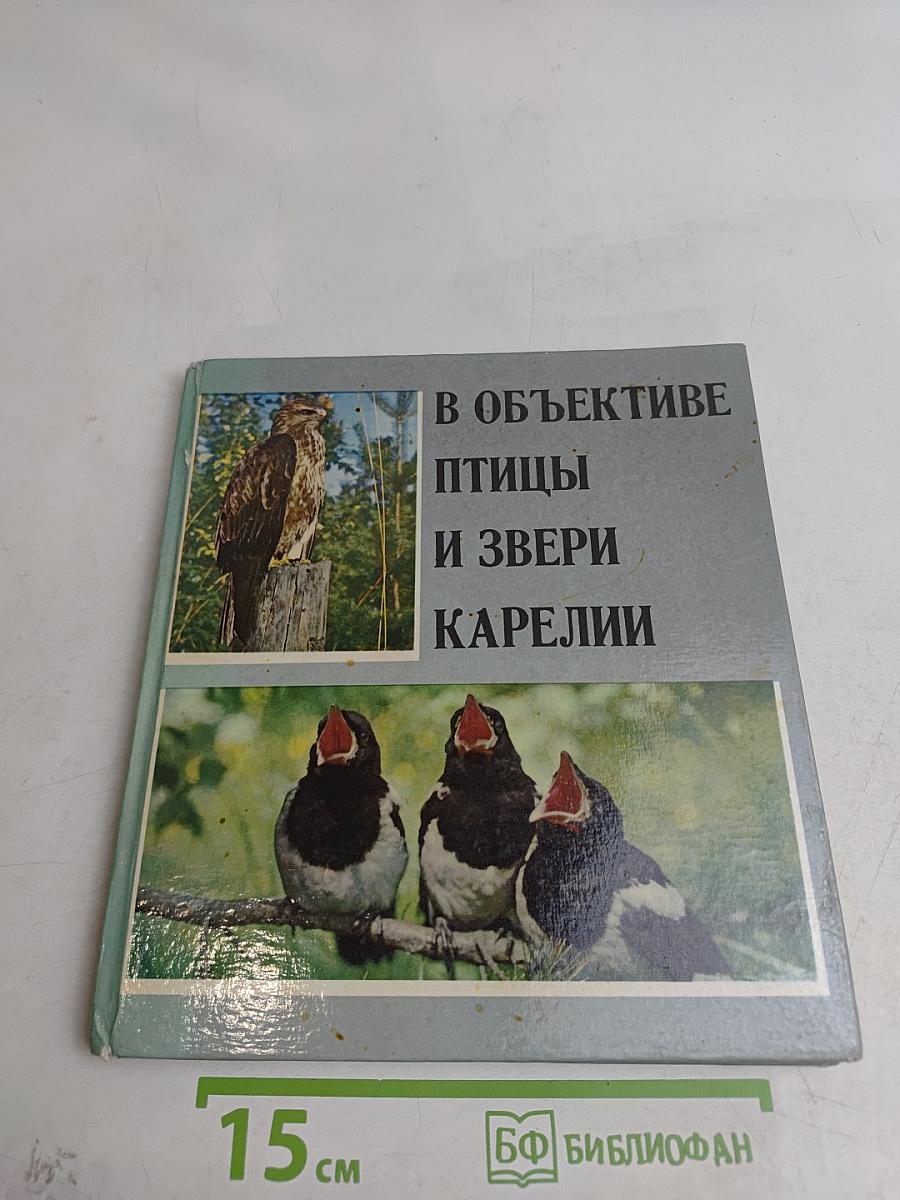 В объективе птицы и звери Карелии