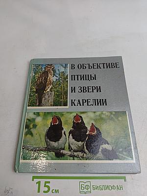 В объективе птицы и звери Карелии