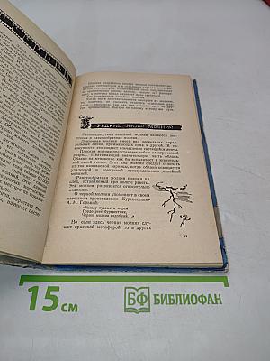 О грозе