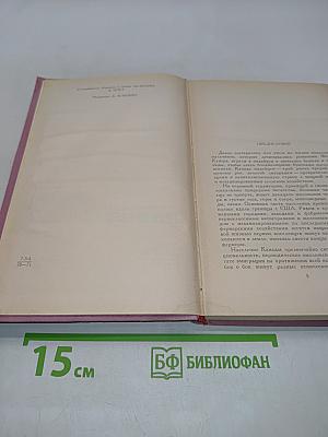 Затерянная улица