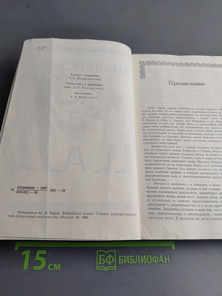 Библейские холмы