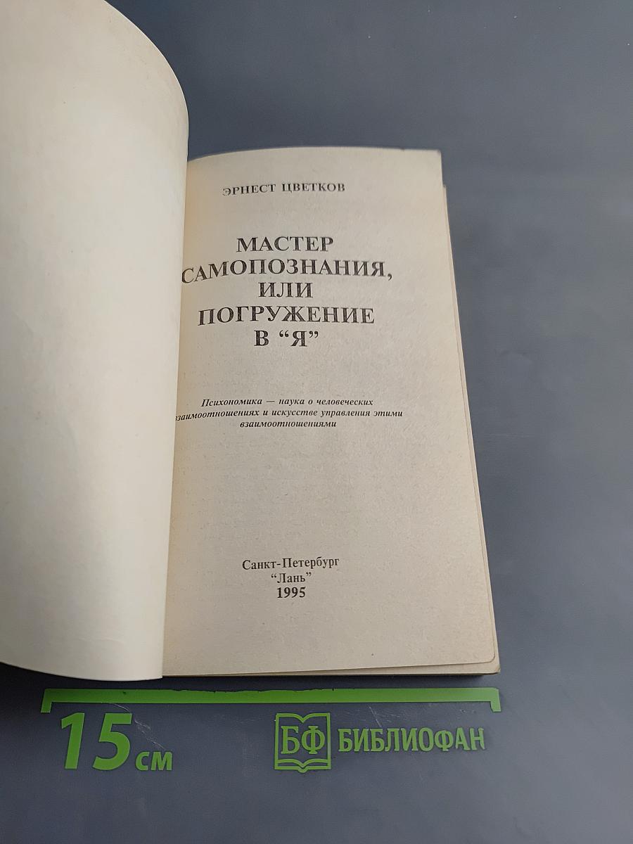Мастер самопознания, или Погружение в "Я" (Психономика)