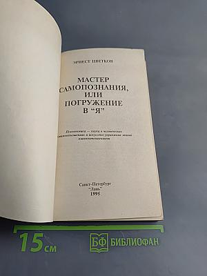Мастер самопознания, или Погружение в "Я" (Психономика)