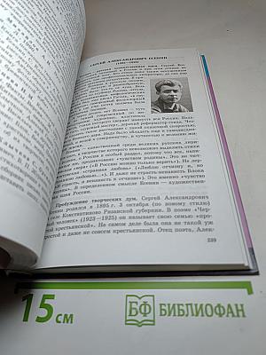 Литература 11 класс Часть 1