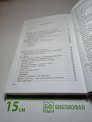 Литература 11 класс Часть 1