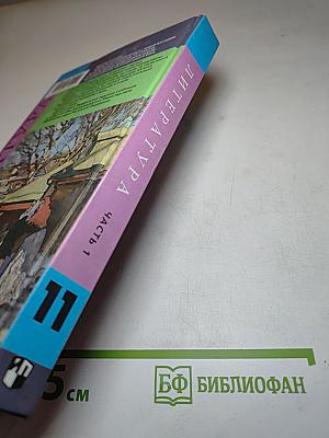 Литература 11 класс Часть 1