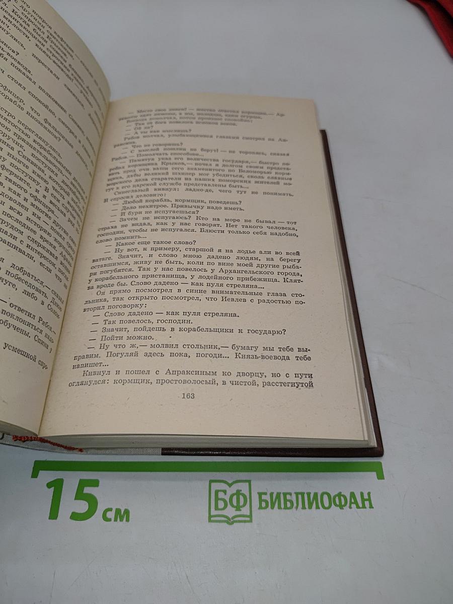 Россия молодая. Книга первая