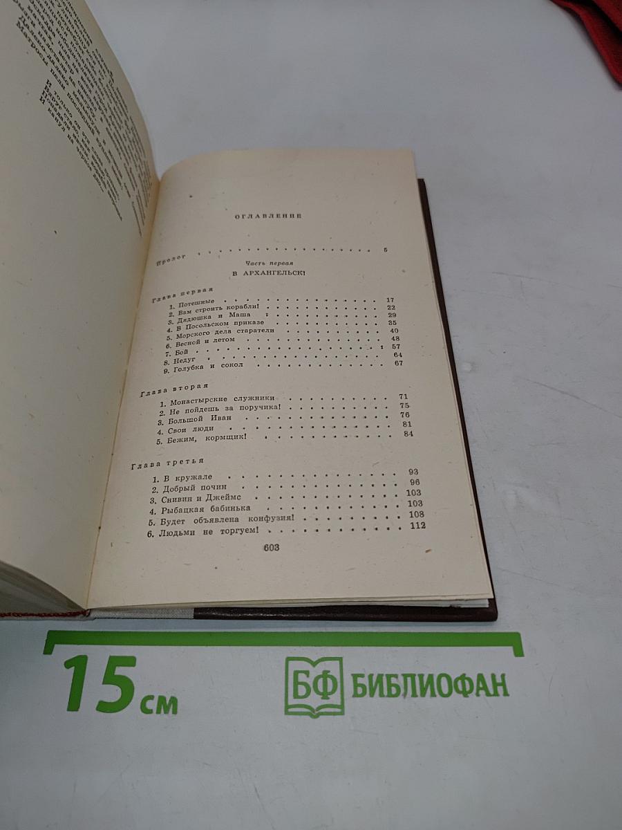 Россия молодая. Книга первая