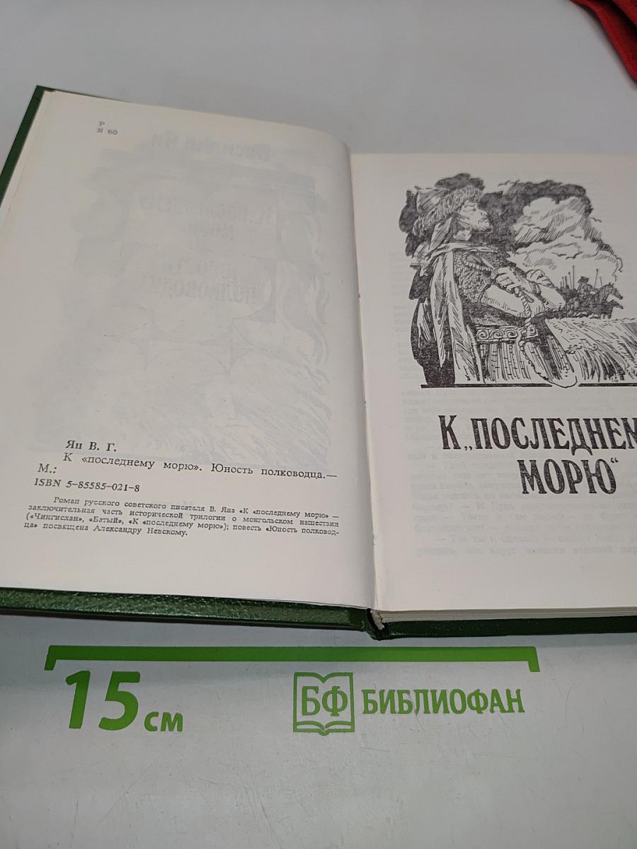 К последнему морю. Юность полководца
