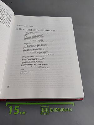 Венок славы. Освобождение Европы. Том 10