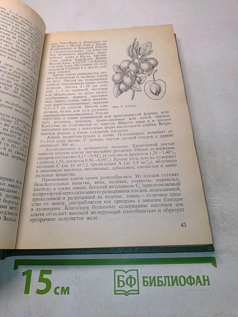 Витаминные и лекарственные растения