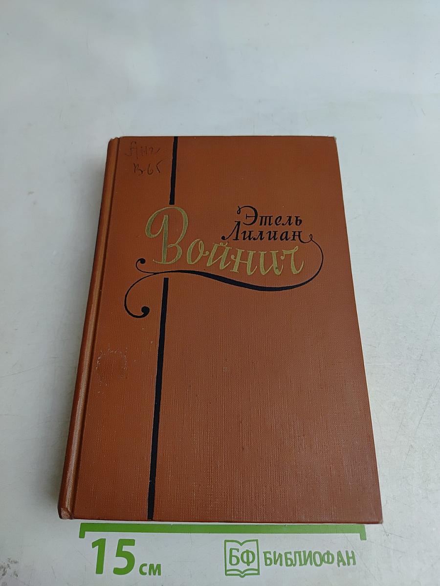 Войнич. Прерванная дружба. Роман. Том 2