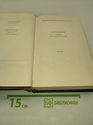 Собрание сочинений. Том 2. Разгоренье. Очерки и рассказы