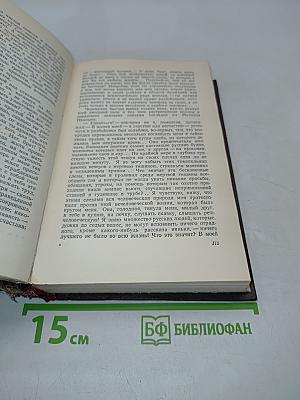 Собрание сочинений. Том 2. Разгоренье. Очерки и рассказы