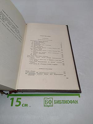 Собрание сочинений. Том 2. Разгоренье. Очерки и рассказы