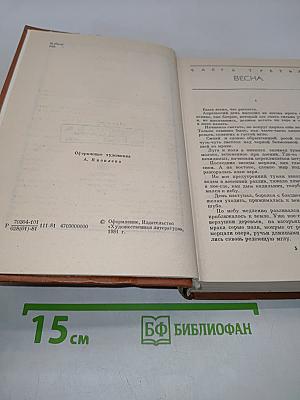 Мужики