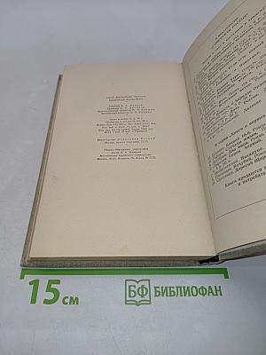 Каменный фундамент