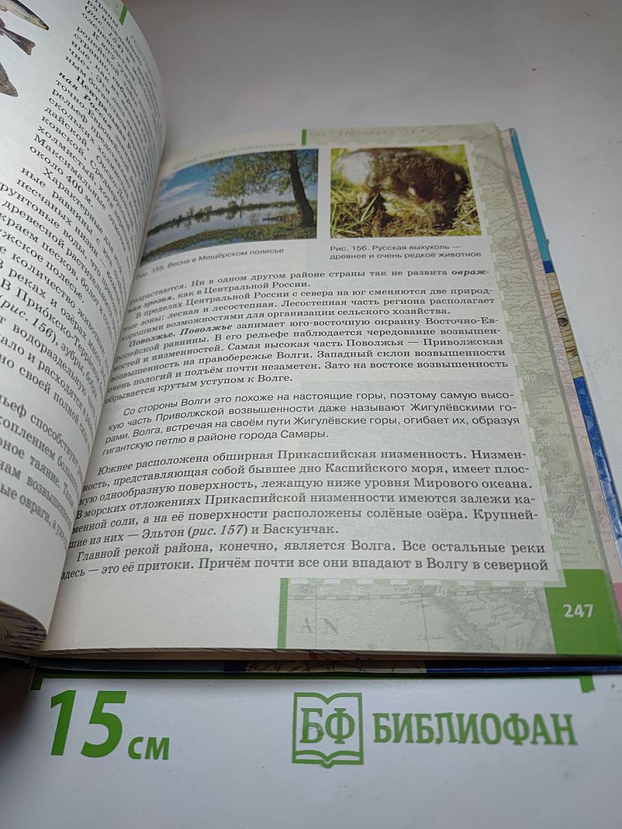 География. Физическая география России. Учебник для 8 класса