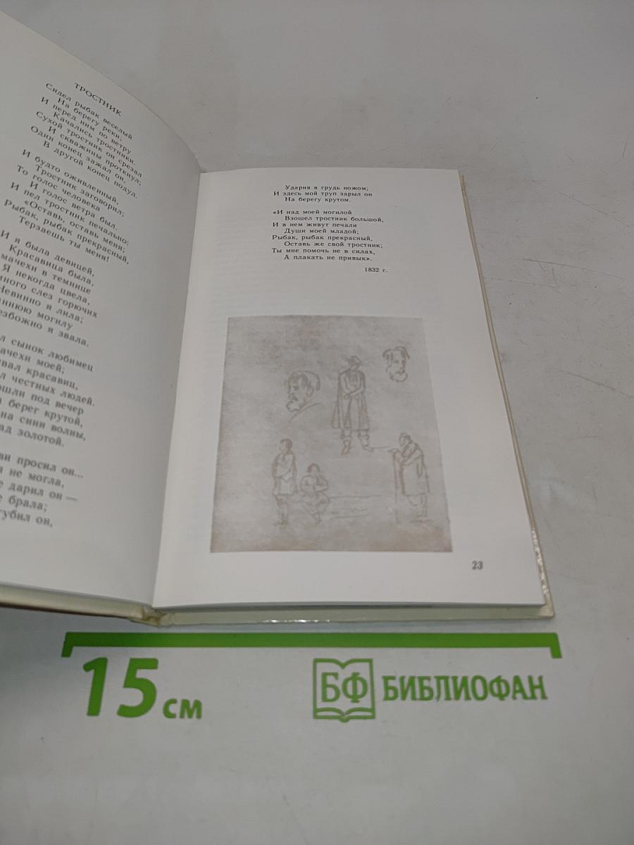 Кругом родные всё места