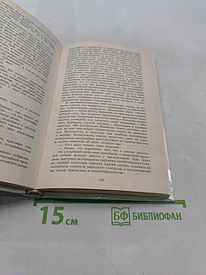 Сумасшедший