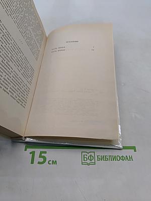 Сумасшедший