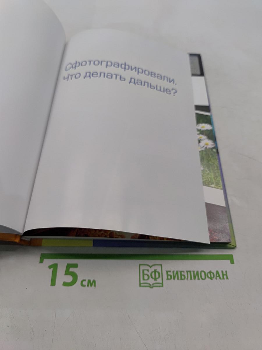 Сфотографировали. Что делать дальше?