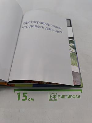 Сфотографировали. Что делать дальше?