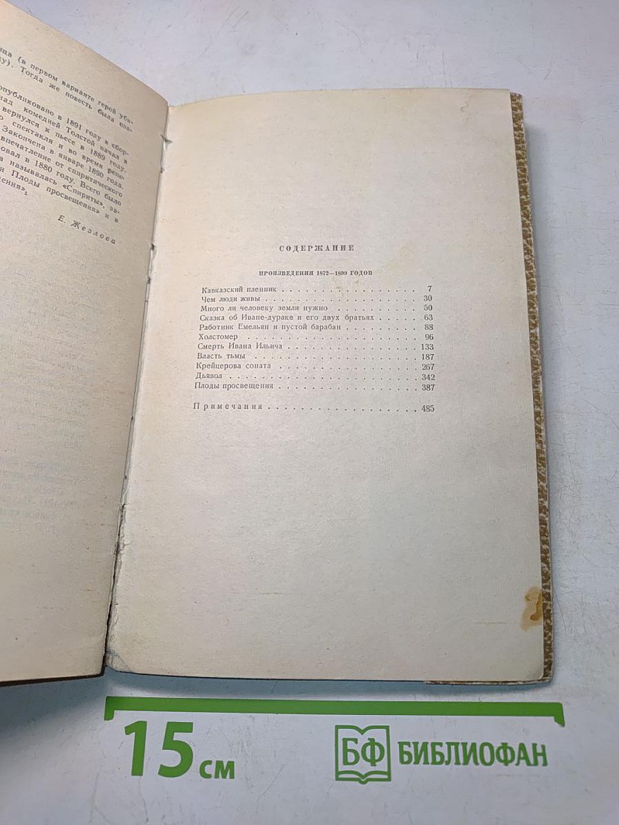 Собрание сочинений. Том 10. Произведения 1872-1890 годов