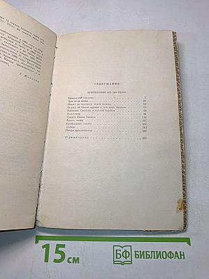 Собрание сочинений. Том 10. Произведения 1872-1890 годов