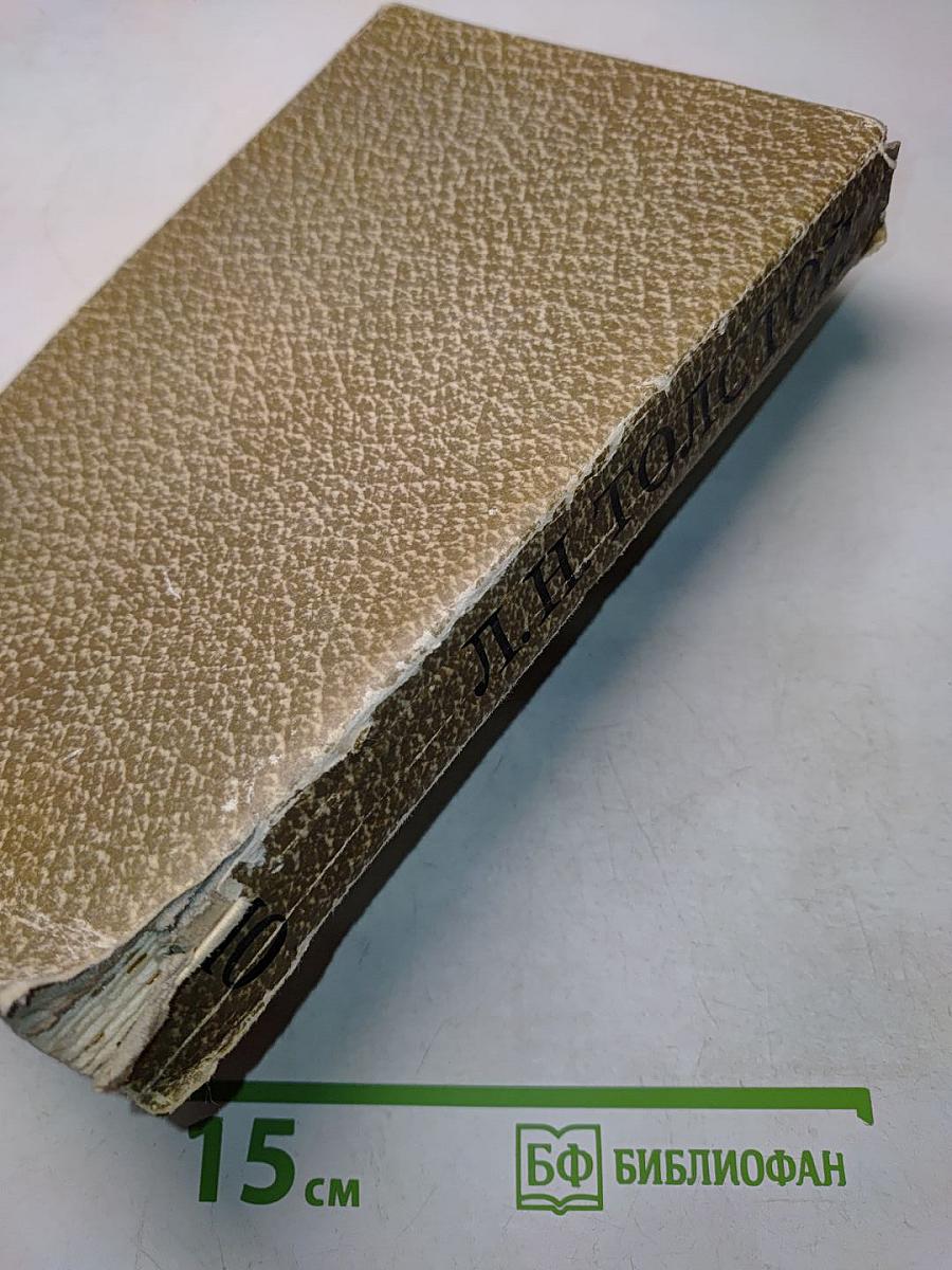 Собрание сочинений. Том 10. Произведения 1872-1890 годов