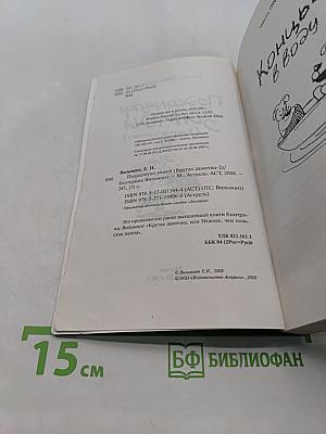 Подсолнухи зимой (Крутая замочка) 2