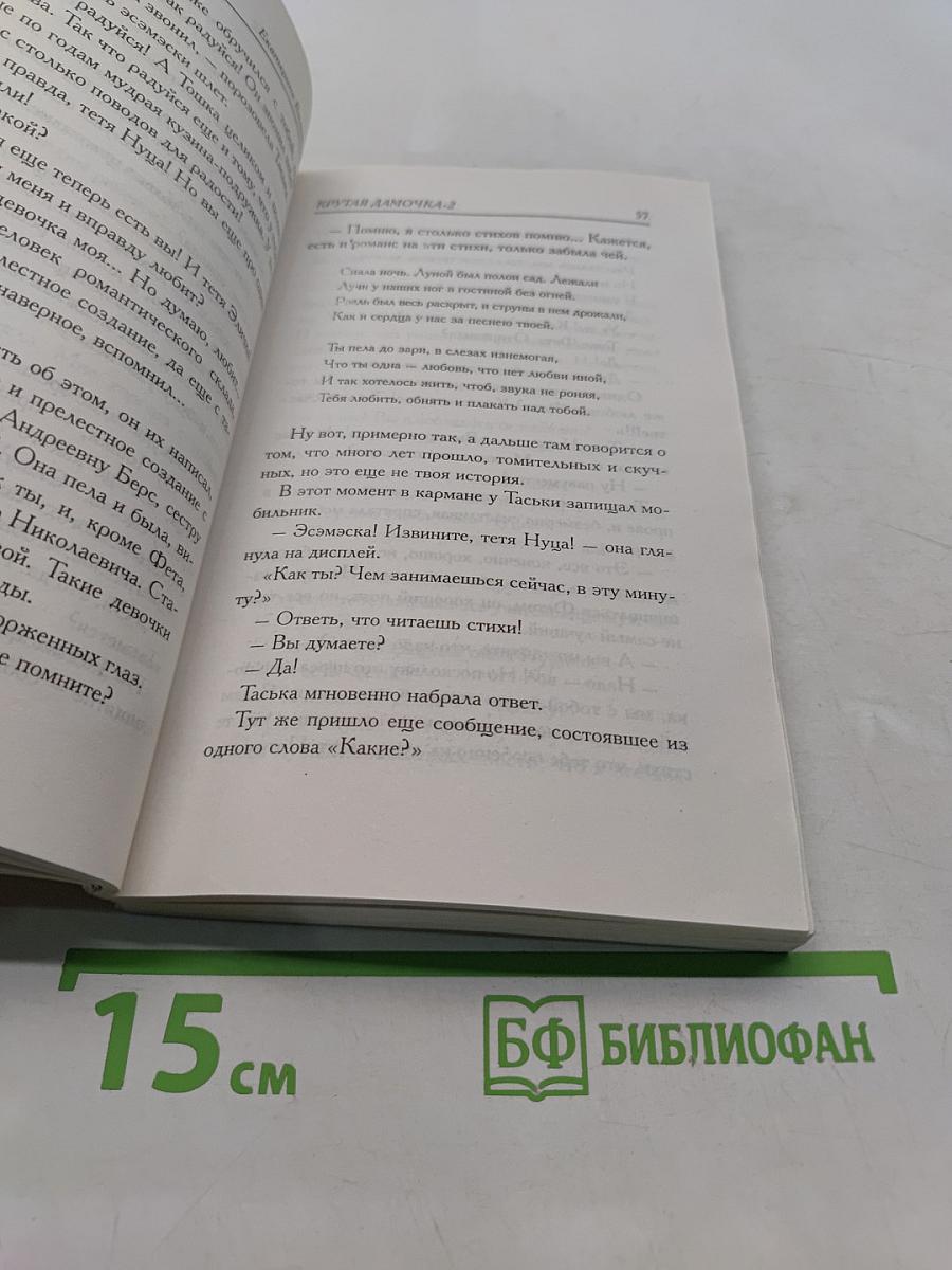 Подсолнухи зимой (Крутая замочка) 2