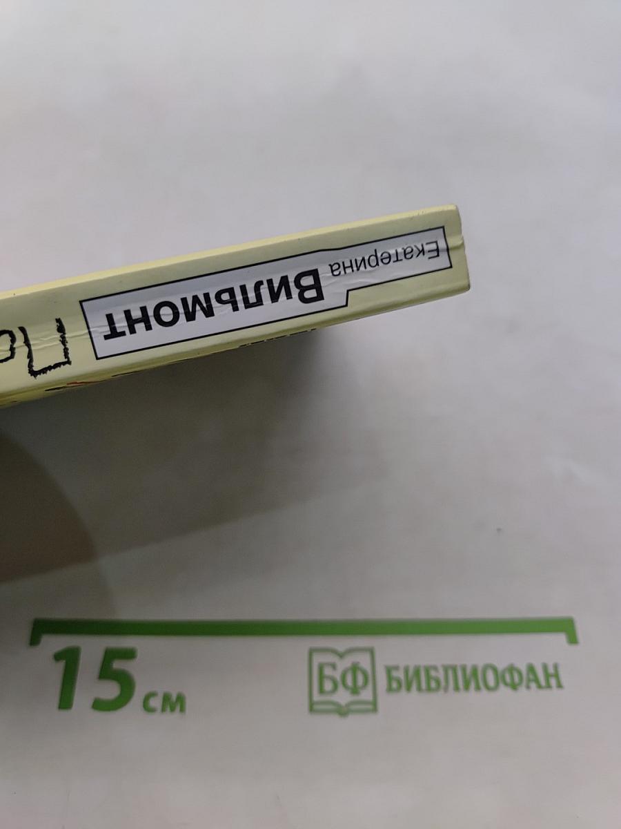 Подсолнухи зимой (Крутая замочка) 2
