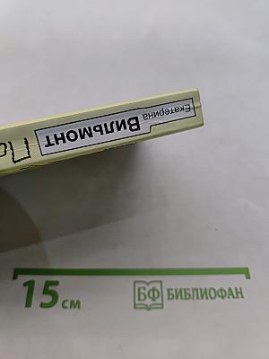 Подсолнухи зимой (Крутая замочка) 2