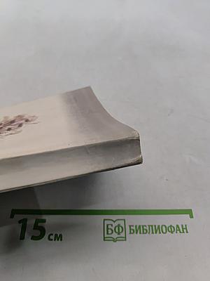 Толстый и тонкий. Повести и рассказы