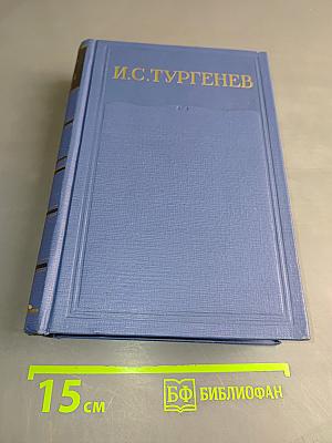 Письма. Том пятый. 1862-1865
