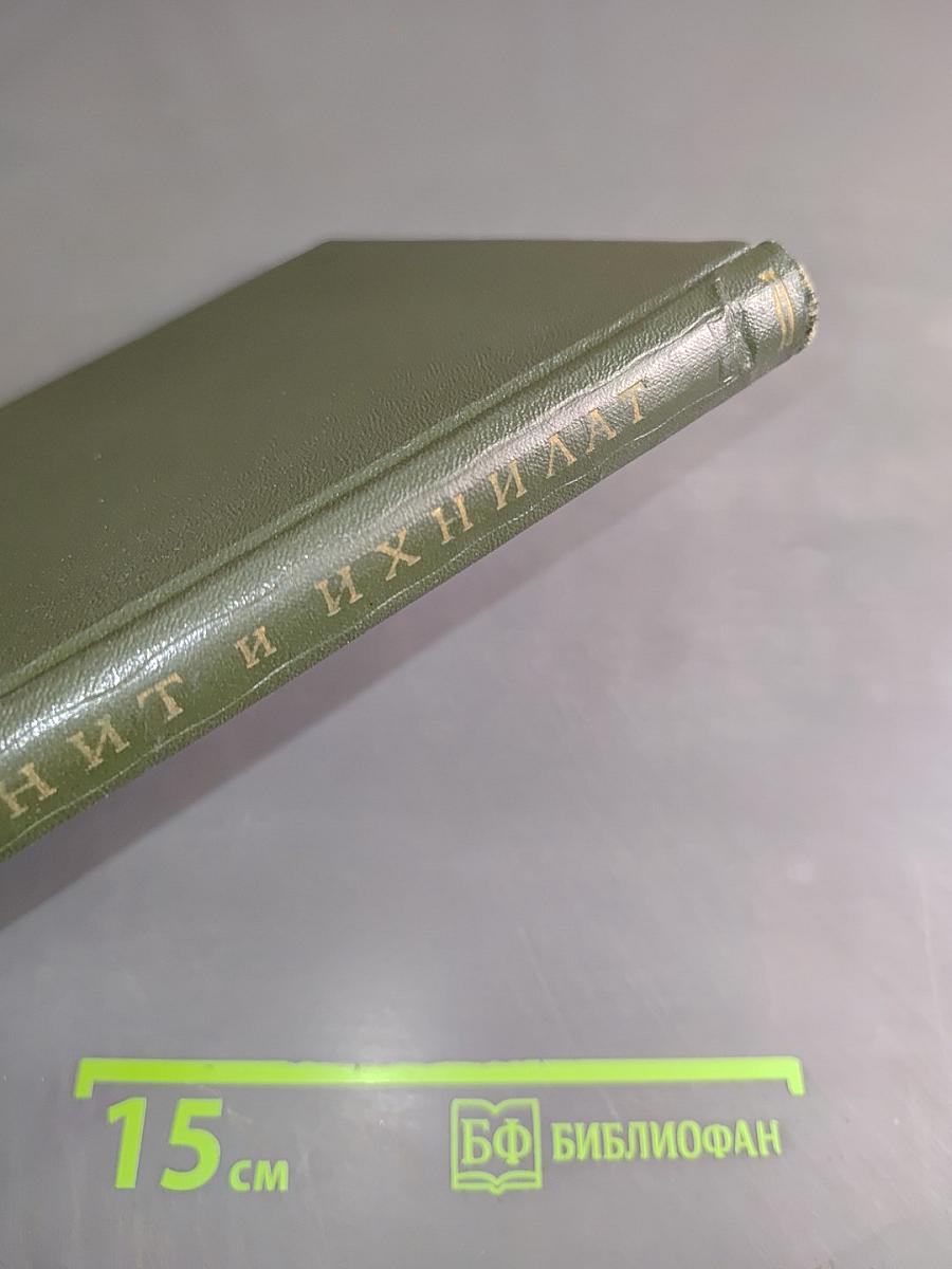 Стефанит и Ихнилат. Средневековая книга басен по русским рукописям XV-XVII веков